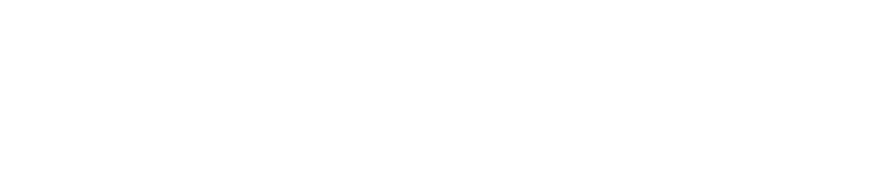 DataWise